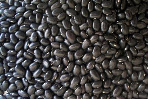 Healthy Food: Black Beans