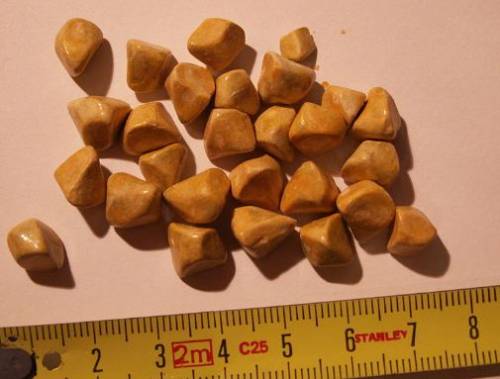 Cholelithiasis and sizes of stones