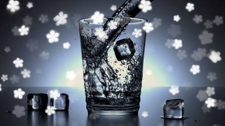 A glass of water with ice