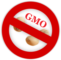 Soy and GMO