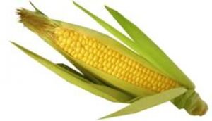 Can I Eat Corn While Pregnant? « Diet Depot