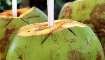 Pros and cons of drinking coconut water