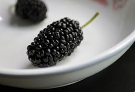 Mulberry on a plate