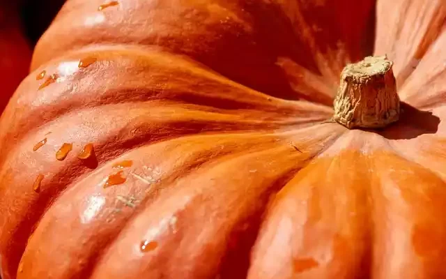 Best Pumpkin for Making Pumpkin Soup