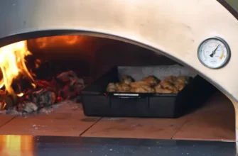 How to Cook Chicken Wings in a Wood-fired Pizza Oven?
